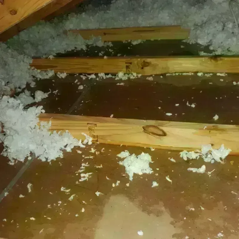 Attic Water Damage in Grand Traverse County, MI