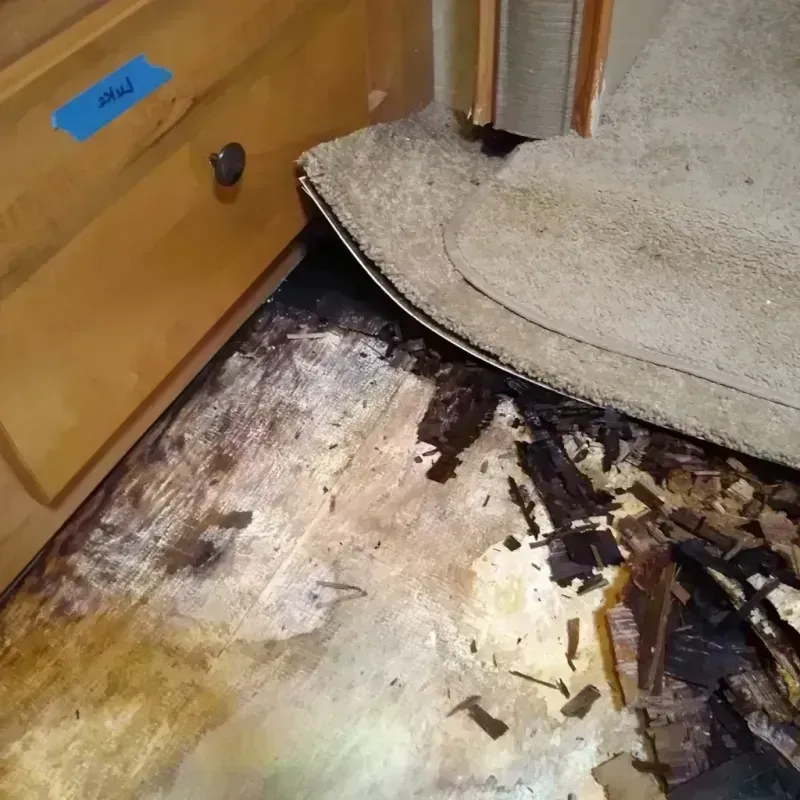 Wood Floor Water Damage in Grand Traverse County, MI